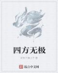 四方无极